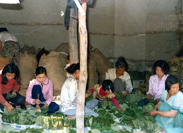 새마을소득증대사업