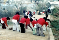 새마을대청소