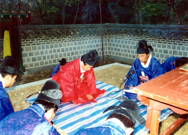 제13회 군민의날