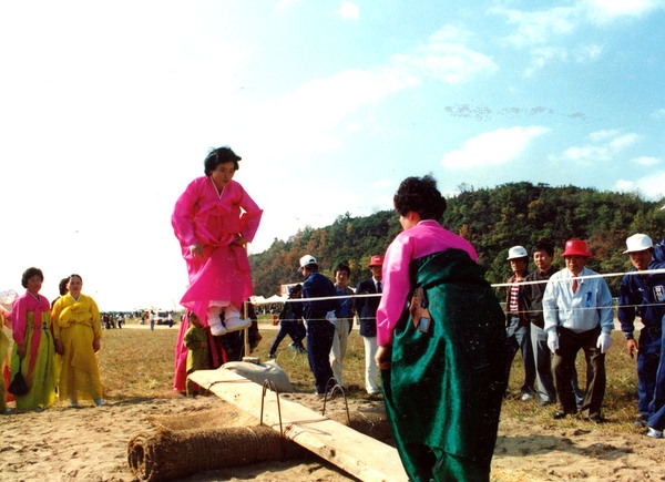 제13회 군민의날