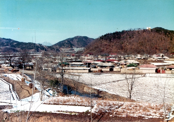 장성읍상오2리마을