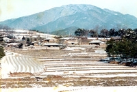 삼계면상도1리