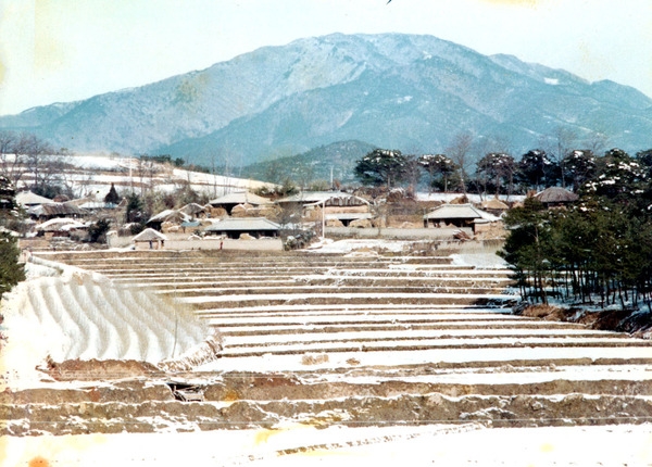 삼계면상도1리