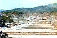 삼계면상도1리