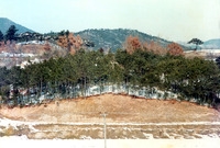 삼계면상도1리
