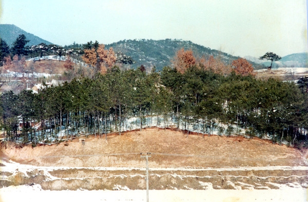 삼계면상도1리