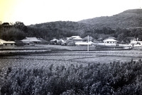 삼서면대곡마을