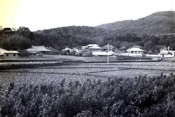 삼서면대곡마을