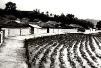 삼서면안정마을