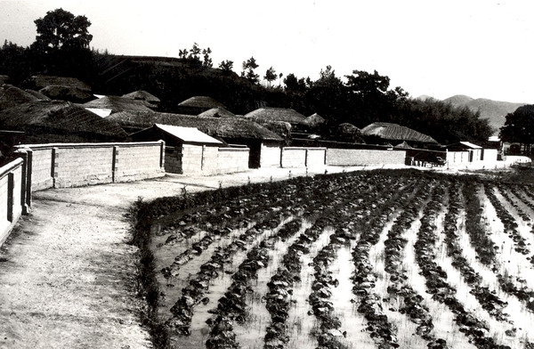 삼서면안정마을