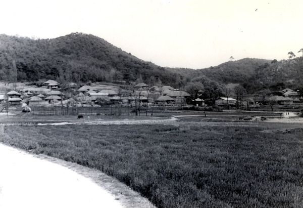 삼서면외동마을