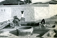 삼서면석마리