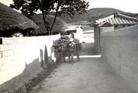 삼서면석마리