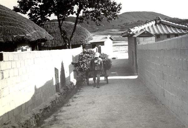 삼서면석마리