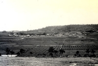 삼서면석마리