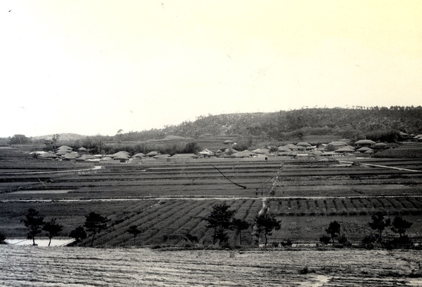 삼서면석마리