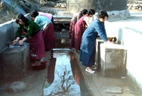 동화면구림1리