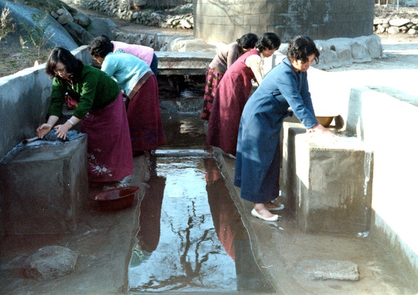 동화면구림1리