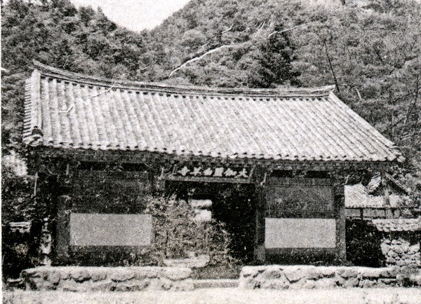 약진하는장성군(백양사)