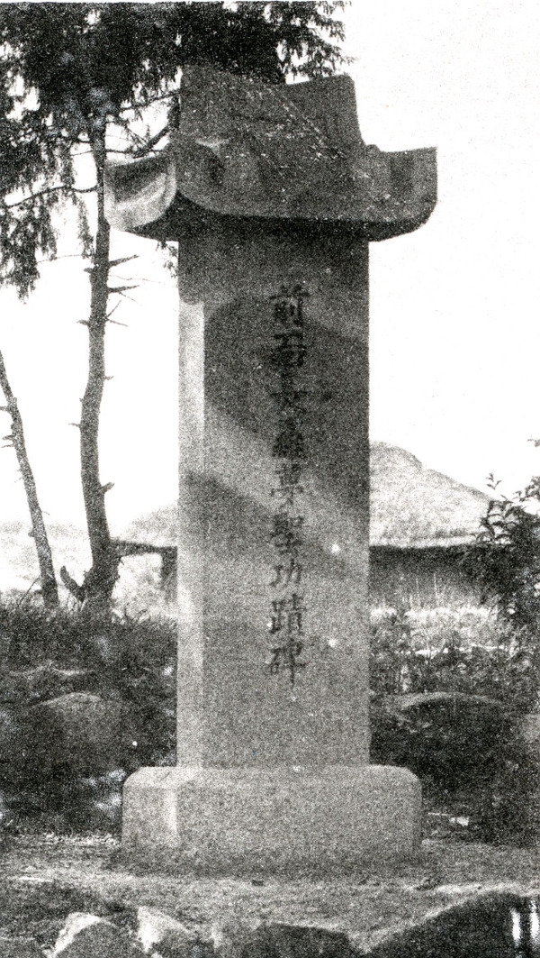 약진하는장성군(삼계-비)