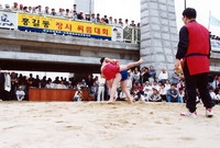 제3회 홍길동축제