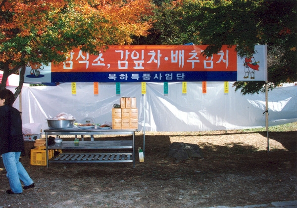 제5회 백양단풍축제