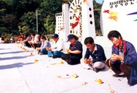 제3회 백양단풍축제