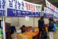 제2회 백양단풍축제