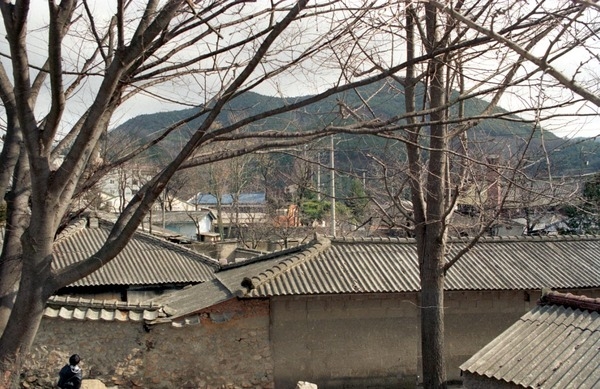 황룡면 청사 철거