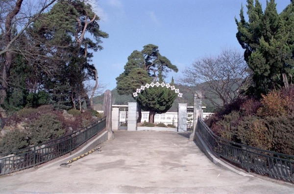 사창초등학교
