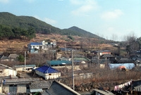 사창시장