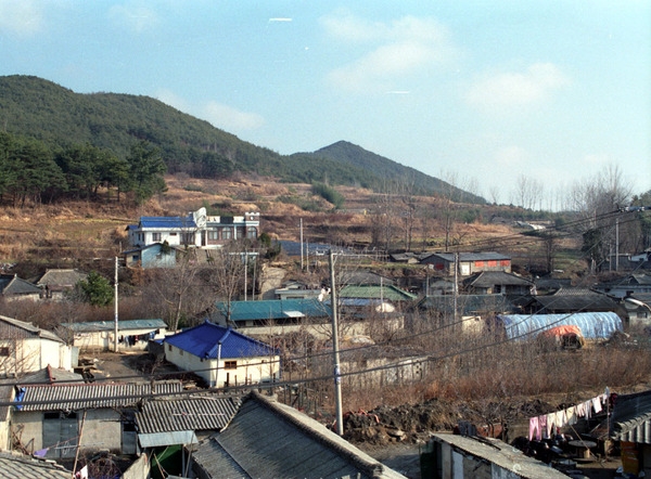 사창시장