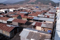 사창시장