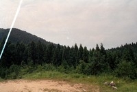 축령산 조림지