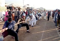 제15회 군민의 날