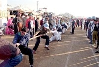 제15회 군민의 날