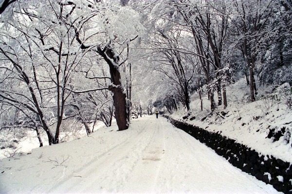 백암산 설경