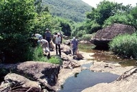 자연보호 활동 (남창계곡)