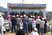 97년 장성축산인 한마당잔...