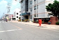 시가지 보도블럭정비(장성군...
