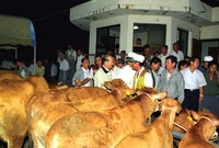 황룡우시장