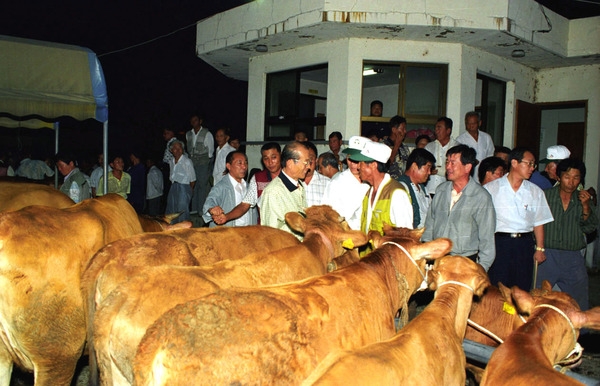 황룡우시장