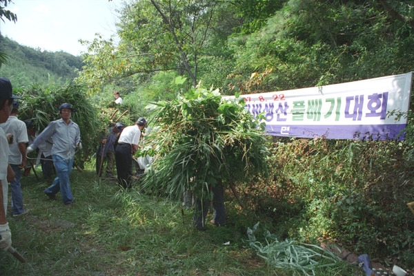 퇴비생산 풀베기 대회