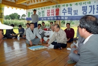 꿈의 쌀 수확 평가회