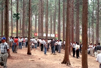 임업 기계화 설명회