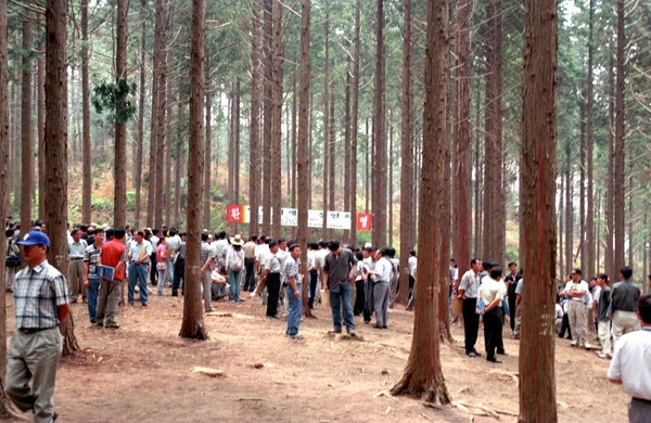 임업 기계화 설명회