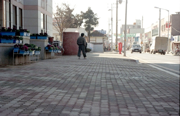 보도블럭(군청앞도로)