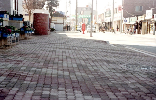 보도블럭(군청앞도로)