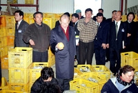 2001년 군.읍면정 순방...