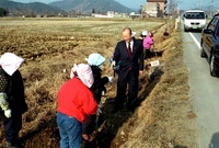 2001공공근로현장 - 토...
